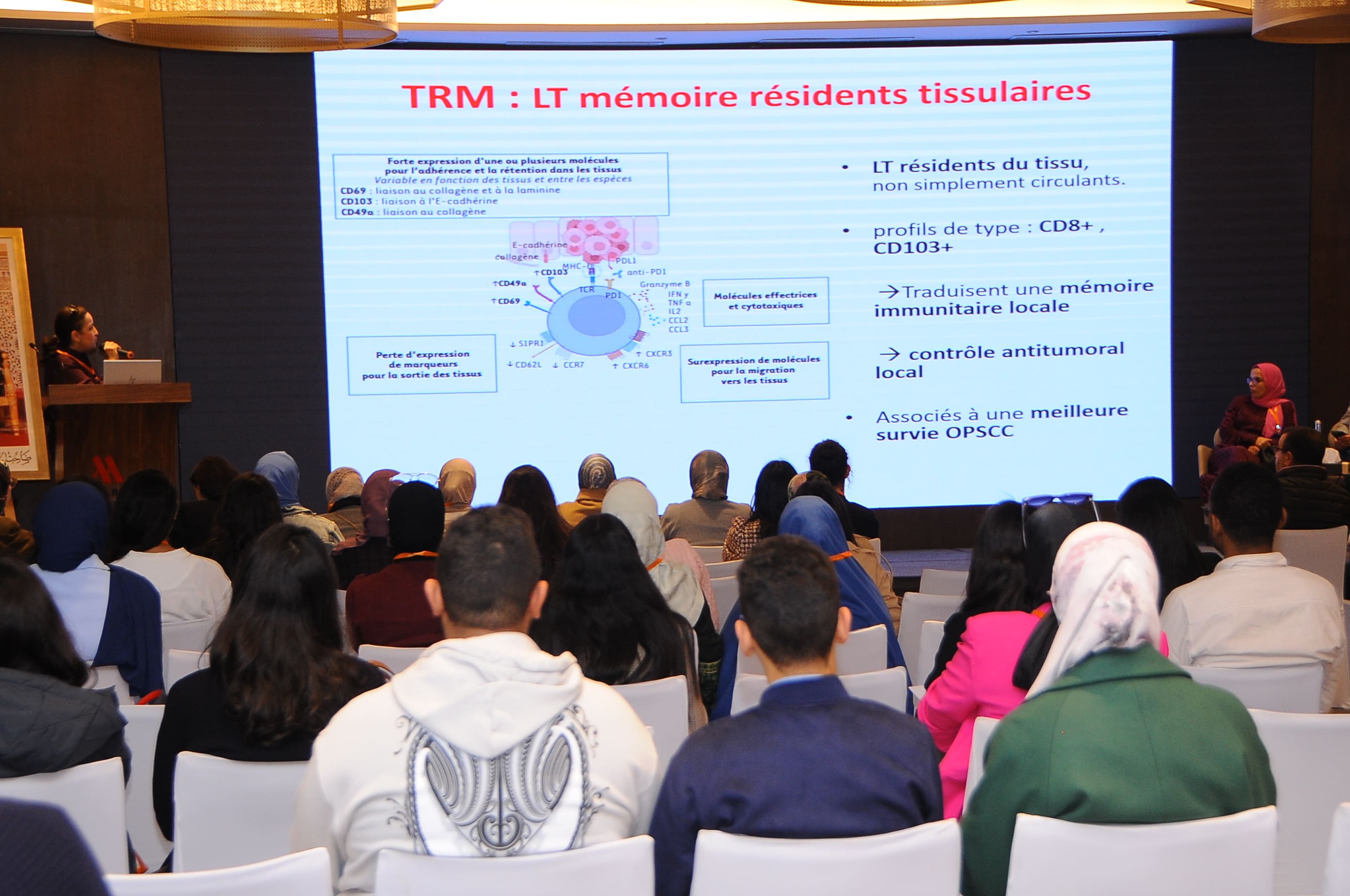 Photo 1 - 21ème cours de la SMC